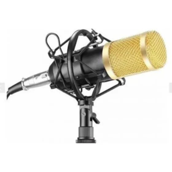 Microfono Condensador Pro Bm-800