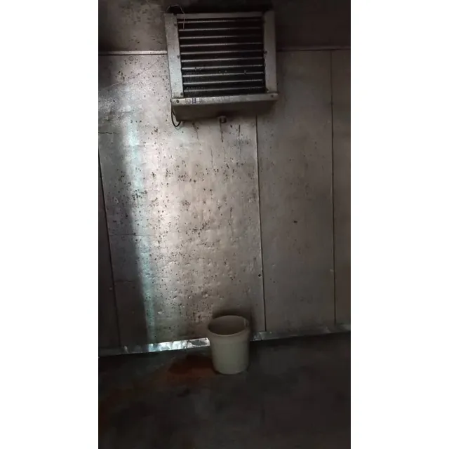 Cava Cuarto 1hp Marca Rey Neto Usada