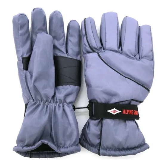 Guantes Para Moto Invierno Alpine Skate Termico Impermeable