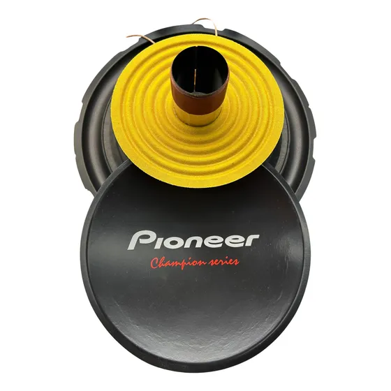 Kit Reparo Subwoofer Pionner Ts W309 4+4 Dupla + Cola 
