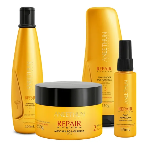 Repair Aneethun - Tratamento Completo (4 Produtos) 