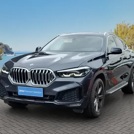 BMW X6 2020 Xdrive30d Executive 4x4 3.0 At 2020 en Lo Barnechea - RM (Metropolitana) usado