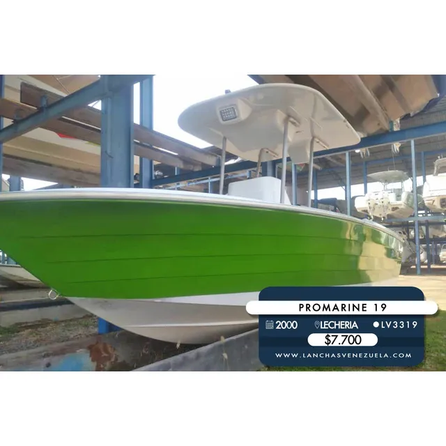 Lancha Promarine 19 Lv3319