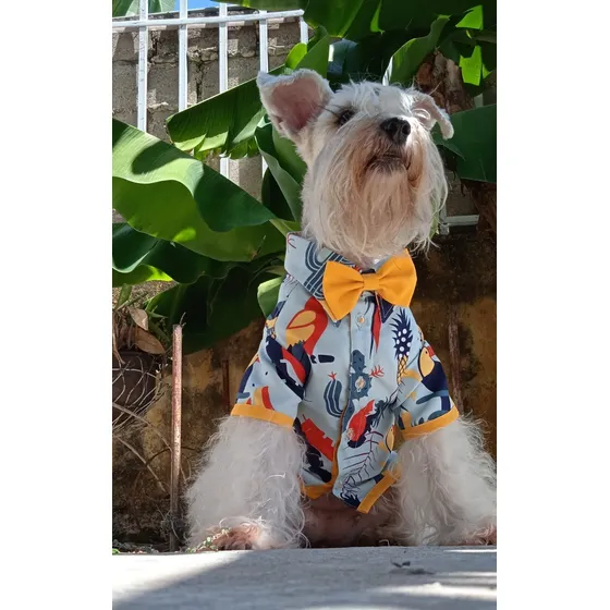 Accesorios Para Mascotas. Corbata De Moño O Corbatines.