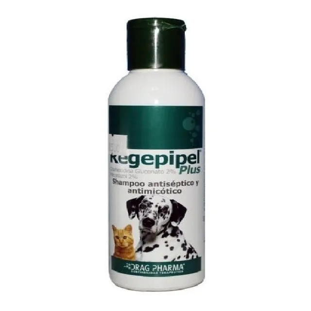 Regepipel Shampoo Perro Gato Antiséptico Antimicótico - Ar