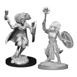 D&d Nolzurs Marvelous Miniatures Changeling Cleric D&d Nolzurs Marvelous Miniatures Changeling Cleric