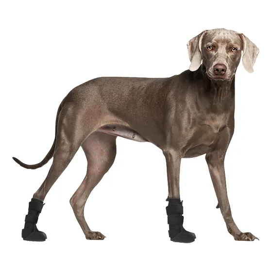 Bota Cão Gato Ortopédica Veterinária Com Tala Encom - Tam Pp
