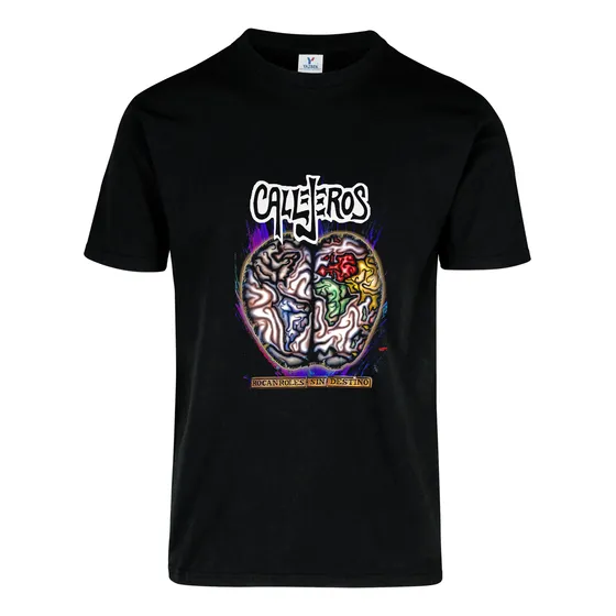 Remera: Callejeros Rocanroles Sin Destino Memoestampados