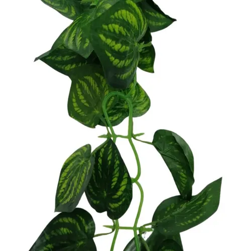 Enredadera Paquete X 2und De 240 Cm Hoja Mata Flor Gota