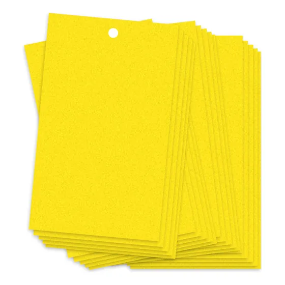 Trampas Adhesivas Para Insectos Voladores De Plantas 20pcs 2
