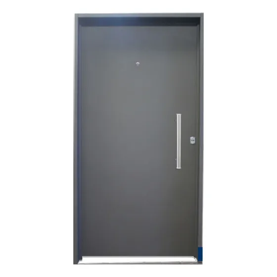 Puerta Inyectada 0.70 X 2.00. Doble Chapa Reforzada Lisa Color Gris Grafito anti-oxido