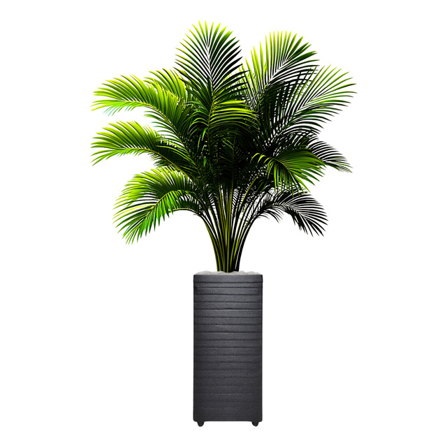 Planta Artificial Palmeira 1 Metro Grande Em Vaso Decoração Planta Artificial Palmeira 1 Metro Grande Em Vaso Decoração