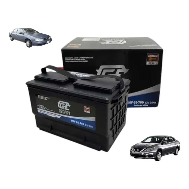 Bateria Sentra