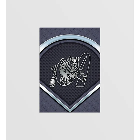 Afiche Póster, Béisbol, Tigres De Aragua