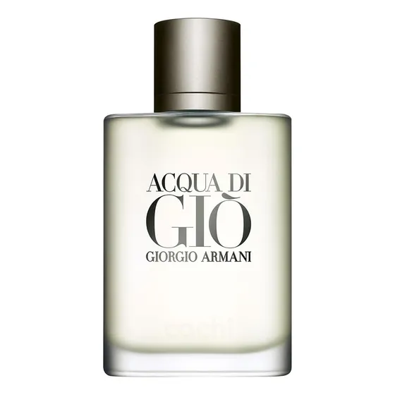 Perfume Acqua Di Gio Pour Homme 100ml Original