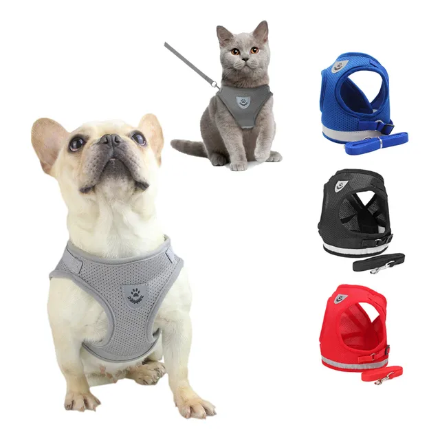Arnés Pechera Chaleco Para Perro O Gato Mascota Raza Pequeña