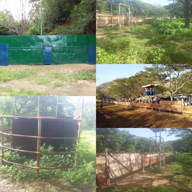 Manga De Coleo.