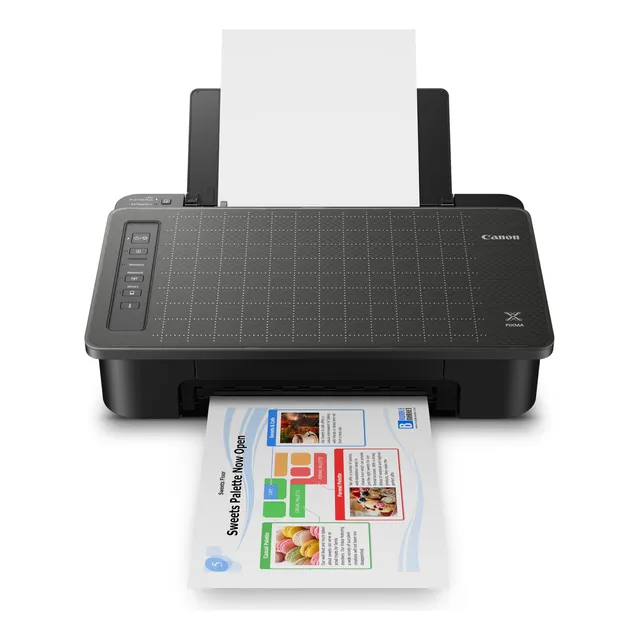 Impresora Canon Pixma Ts302a Inalámbrica De Inyección De Tin