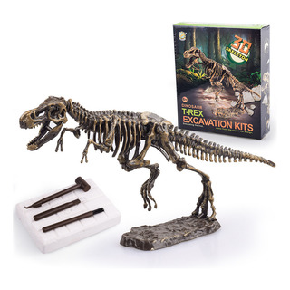 Conchas Arqueológicas Luminosas 286g Fósil De Dinosaurio Conchas Arqueológicas Luminosas 286g Fósil De Dinosaurio