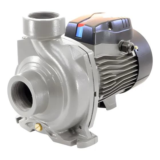 Bomba De Agua Pearl 2 Hp Alto Caudal 110-220v 3 Años Gtia