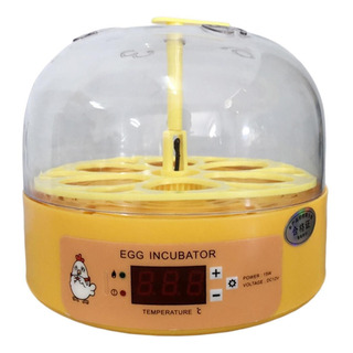 Mini Chocadeira De Ovos Com Giro Automático Mini Chocadeira De Ovos Com Giro Automático