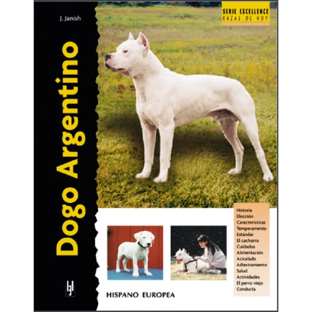 Dogo Argentino . Serie Excellence