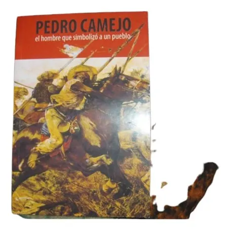 Pedro Camejo El Hombre Que Simbolizo A Un Pueblo