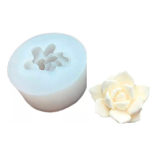 Molde Silicon Suculenta Cactus Planta 1 - Resina Yeso Molde Silicon Suculenta Cactus Planta 1 - Resina Yeso