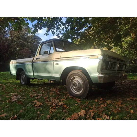 Ford F-100 3.6 Lujo