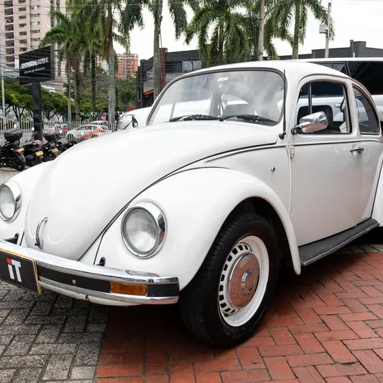Volkswagen Escarabajo 2001 Escarabajo Mexicano 1.6 Mt
