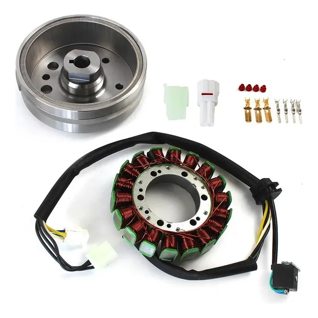 Kit De Estator Y Rotor De Volante Para Suzuki Lta Ltf 400