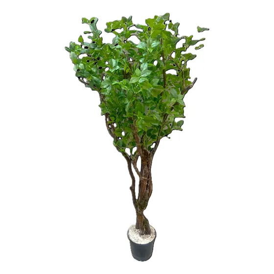 Planta Grande C/ Tronco Natural E Folhagem Artificial 150cm