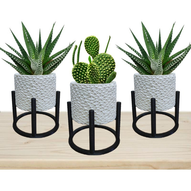 3 Vasos Cachepot Suculenta Erva Flor Decoração Casa Suspenso 3 Vasos Cachepot Suculenta Erva Flor Decoração Casa Suspenso