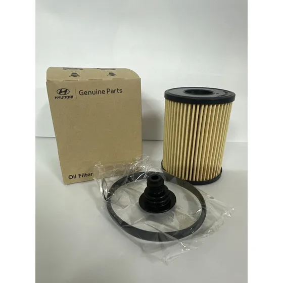 Filtro Elemento Santa Fe 2024 263502s001