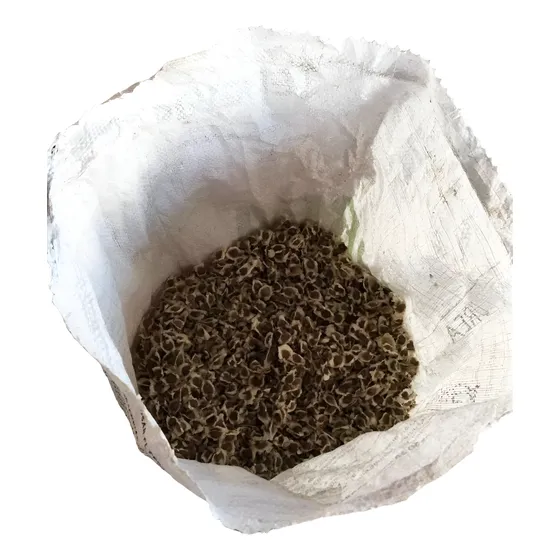 Semilla De Moringa 1 Kg, Envio Gratis!
