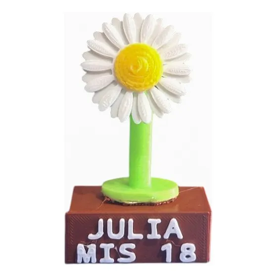 10 Souvenirs Personalizados Cumpleaños Tematicos Plástico Margarita Flor