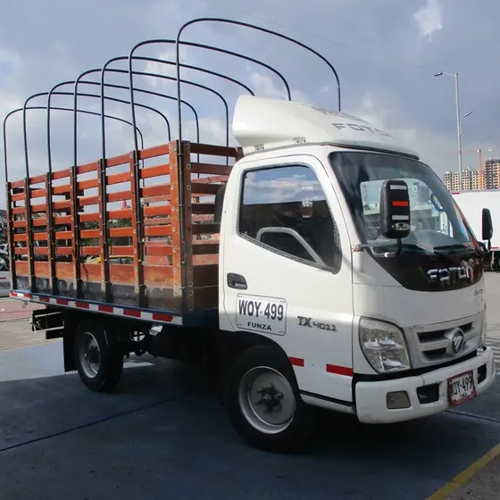 Foton Aumark Bj1039 V3jd3-1  - Estacas