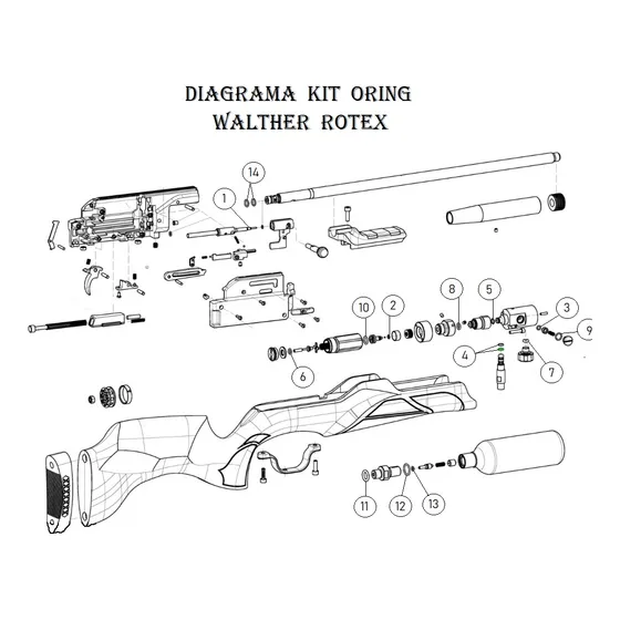 Kiit Oring Pcp Walther Rotex Rm8