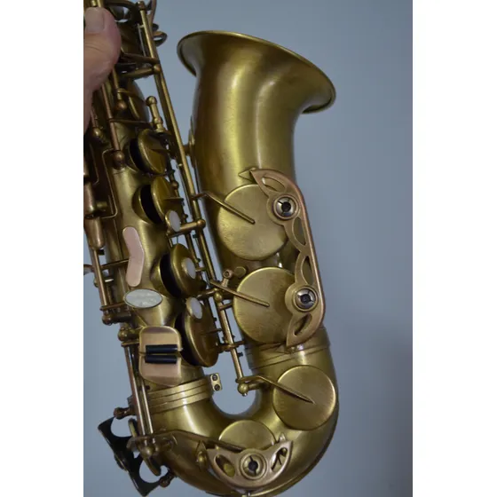 Saxofone Alto Mi Bemol Suzuki Gold Vintage Asx1 Dourado-escuro