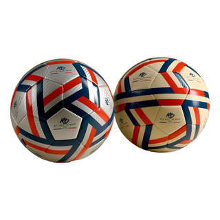 Balón De Futbol Profesional No. 5 Laminado Michel Blanc Balón De Futbol Profesional No. 5 Laminado Michel Blanc