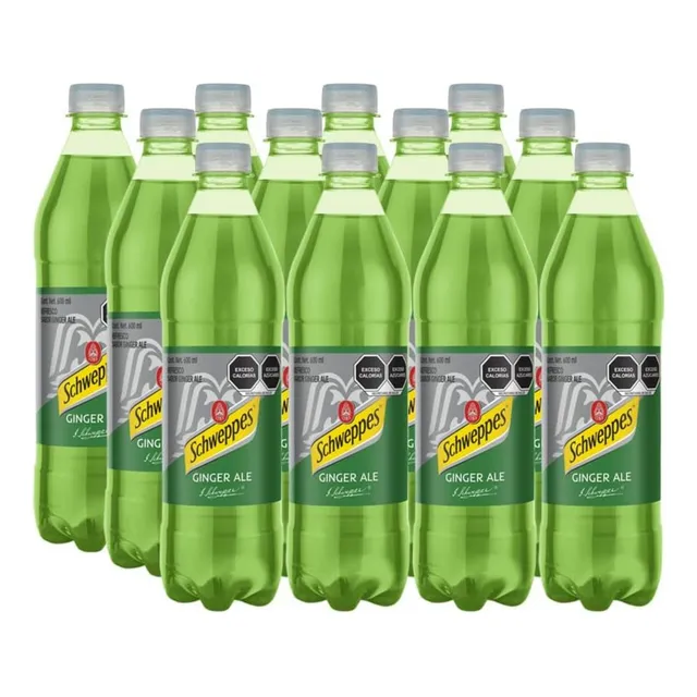 Refresco Mschweppes Ginger Ale 600 Ml, Botella Pet 12 (pack)