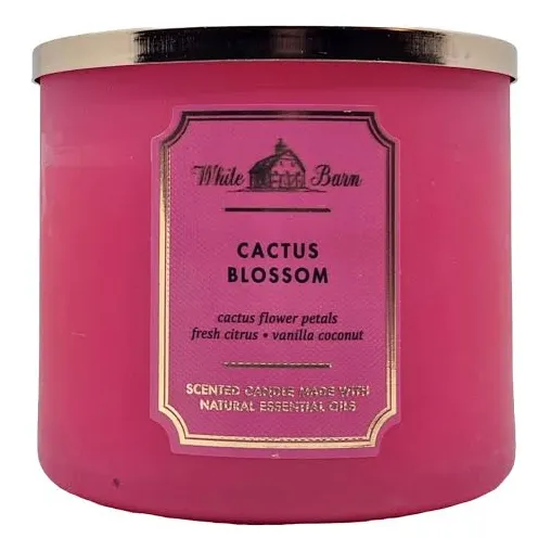 Vela Grande 3 Mechas Color Rosa Chicle Cactus Blossom