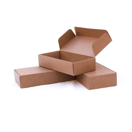 Caja Packaging Para Comida Sushi Sandwichs  22x11x5 Pack X25