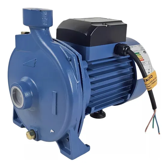 Motobomba Centrifuga Irrigação 1cv 220v Ms Bombas/eletroplas