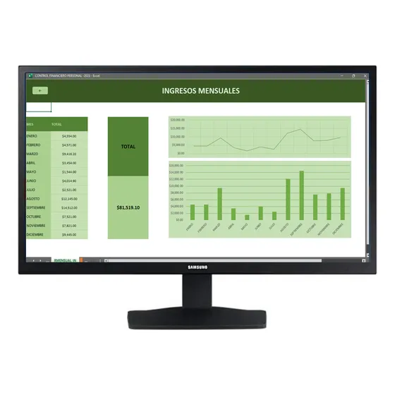 Control Financiero En Excel 