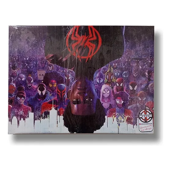 Cuadros Spiderman Multiverso Marvel Dc Super Heroes