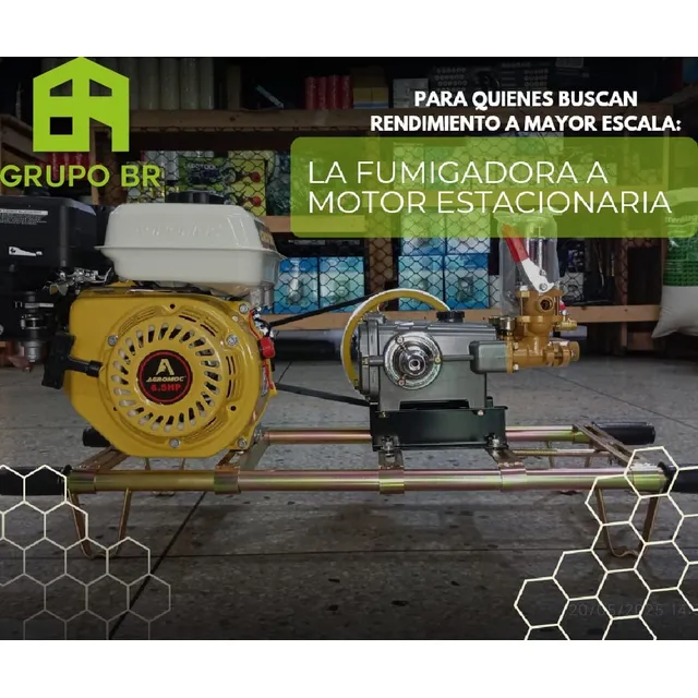 Paviola 20-20 Motor 6.5hp