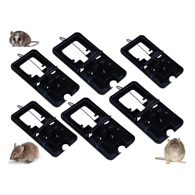 6 Trampas De Metal Para Ratones Rápida Y Efectiva
