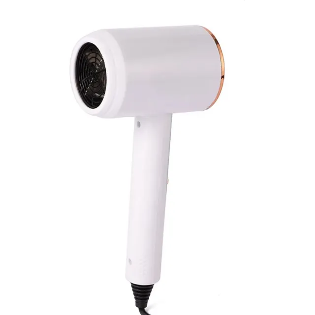 Secador Domestico De Viaje 3000w Liviano Ligero Potente