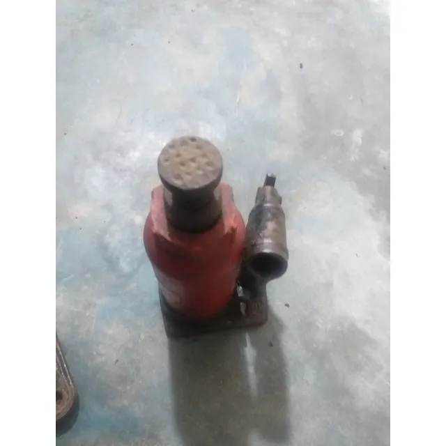 Gato De Botella 